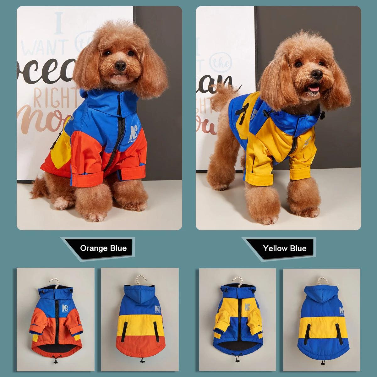 Veste Coupe-vents et Waterproof pour chiots et French Bulldog